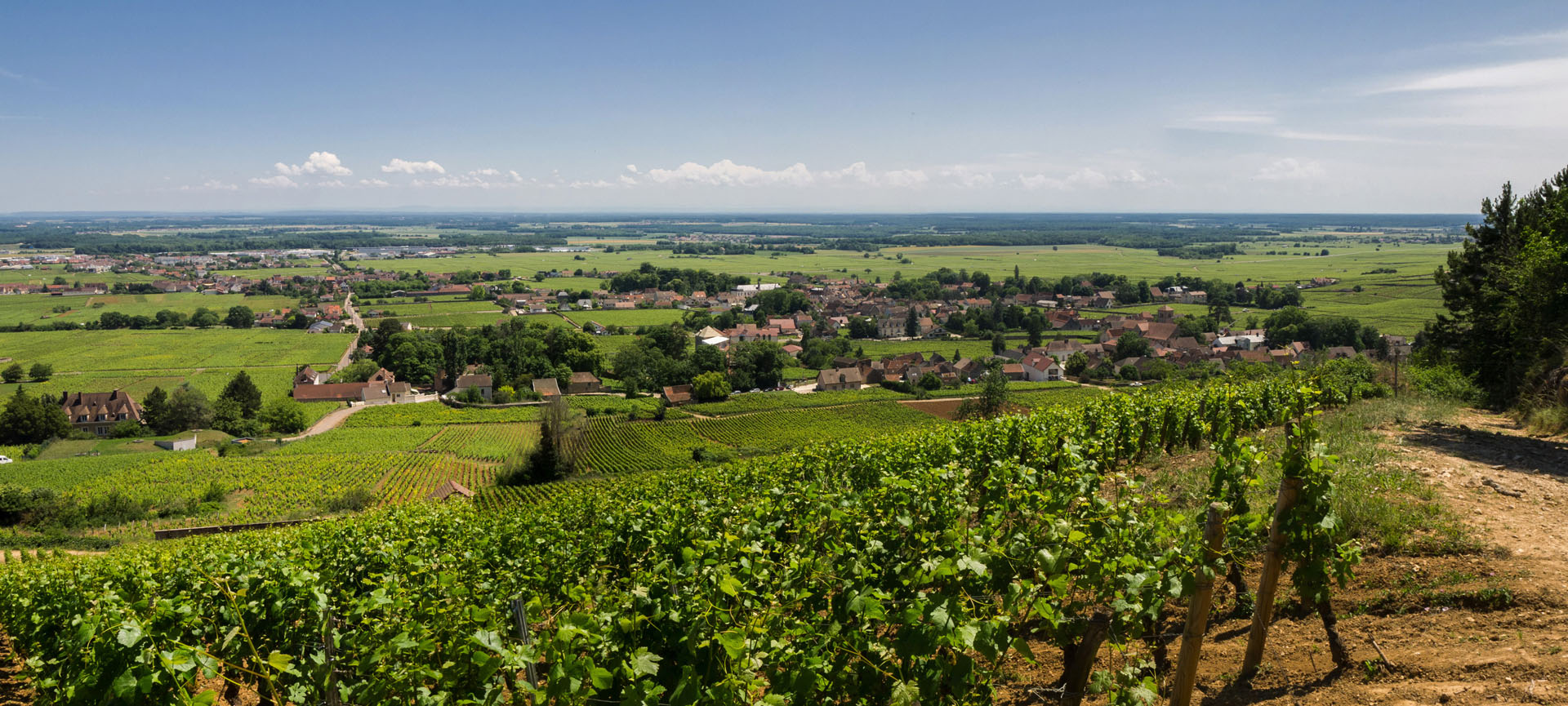 Randonnée en Côte d’Or : entre roche et vignoble -664713a9cfe82: /