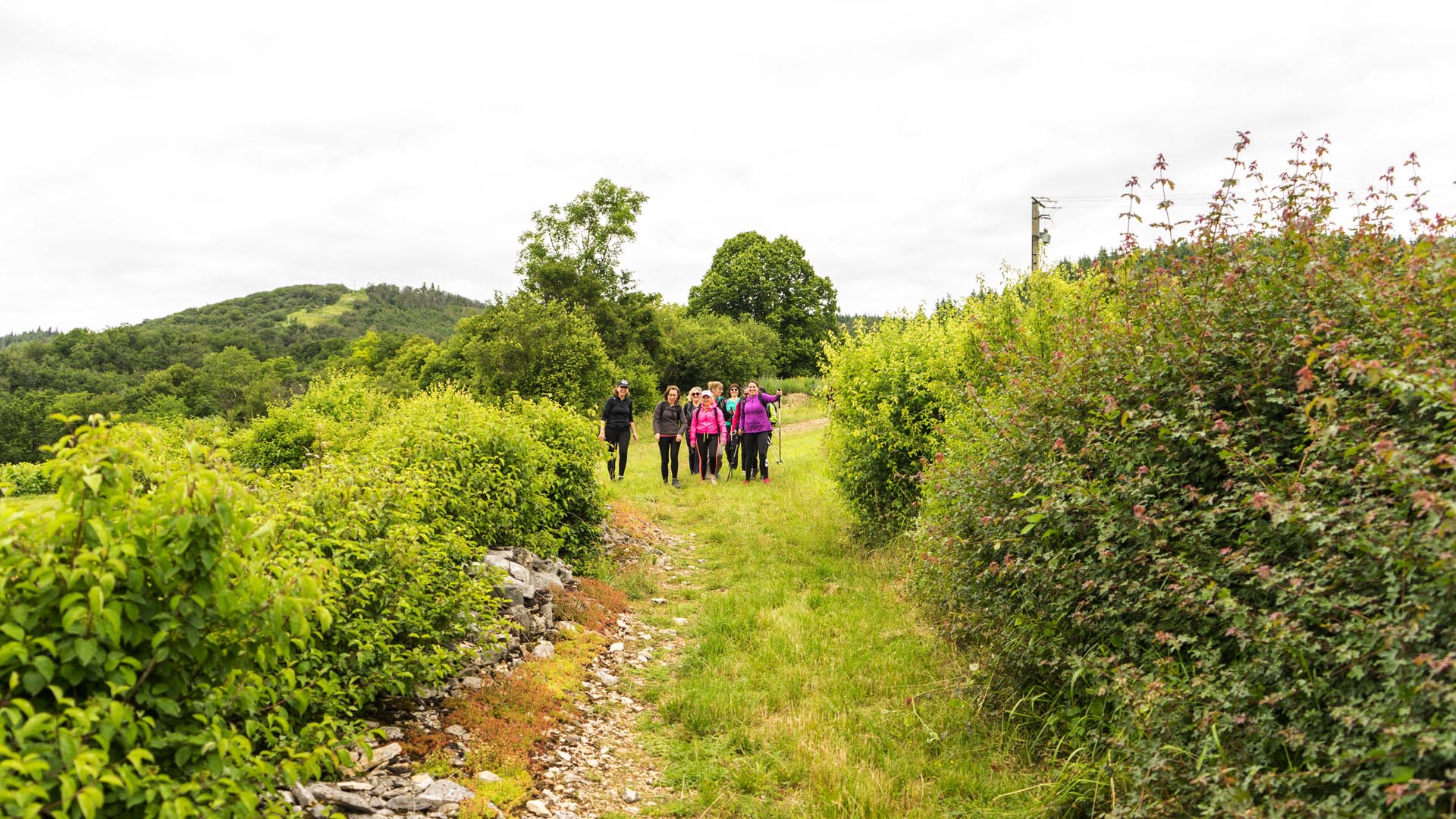 Un temps pour l’essentiel, week end de randonnée et de yoga en Bourgogne -66471b4d4a808: /