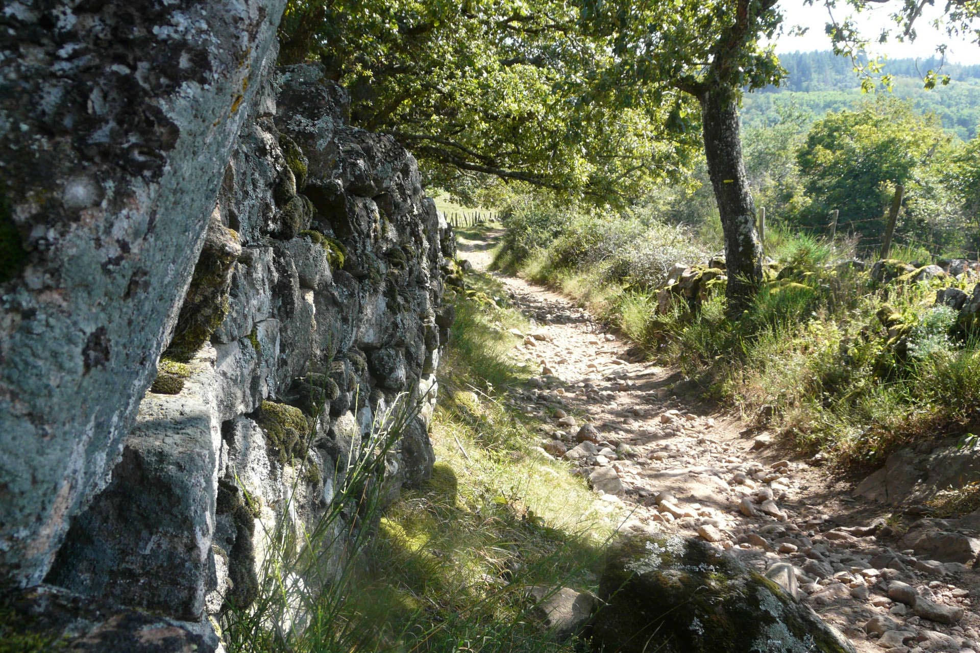 Un temps pour l’essentiel, week end de randonnée et de yoga en Bourgogne -66471b4d4a80a: /