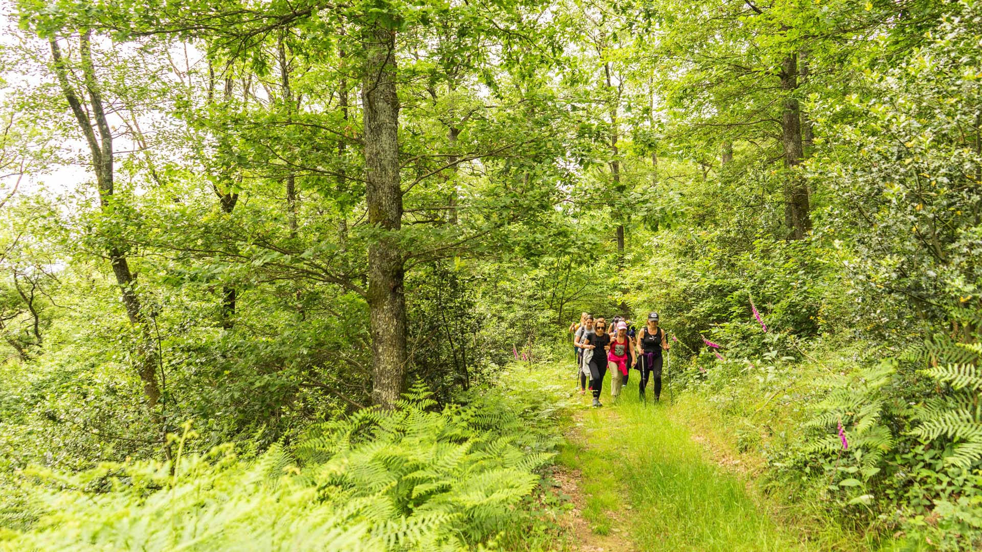 Un temps pour l’essentiel, week end de randonnée et de yoga en Bourgogne -684ea67c40912: /