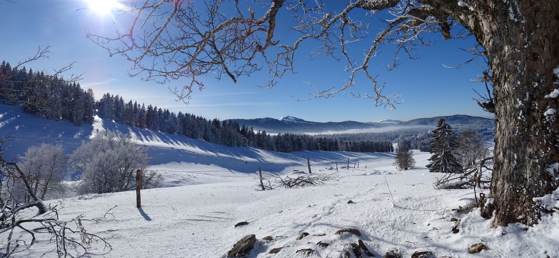 Immersion en raquettes au coeur des Hautes Combes jurassiennes -684b18de3037a: /