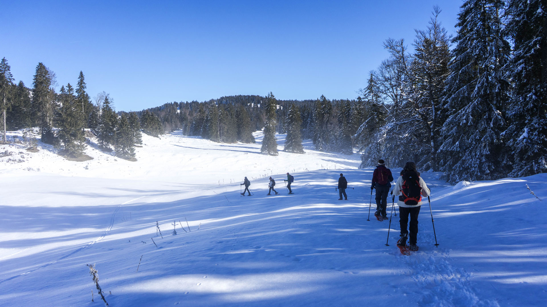 Balades sauvages à raquette au cœur du Haut Jura -6874a979d7e31: /