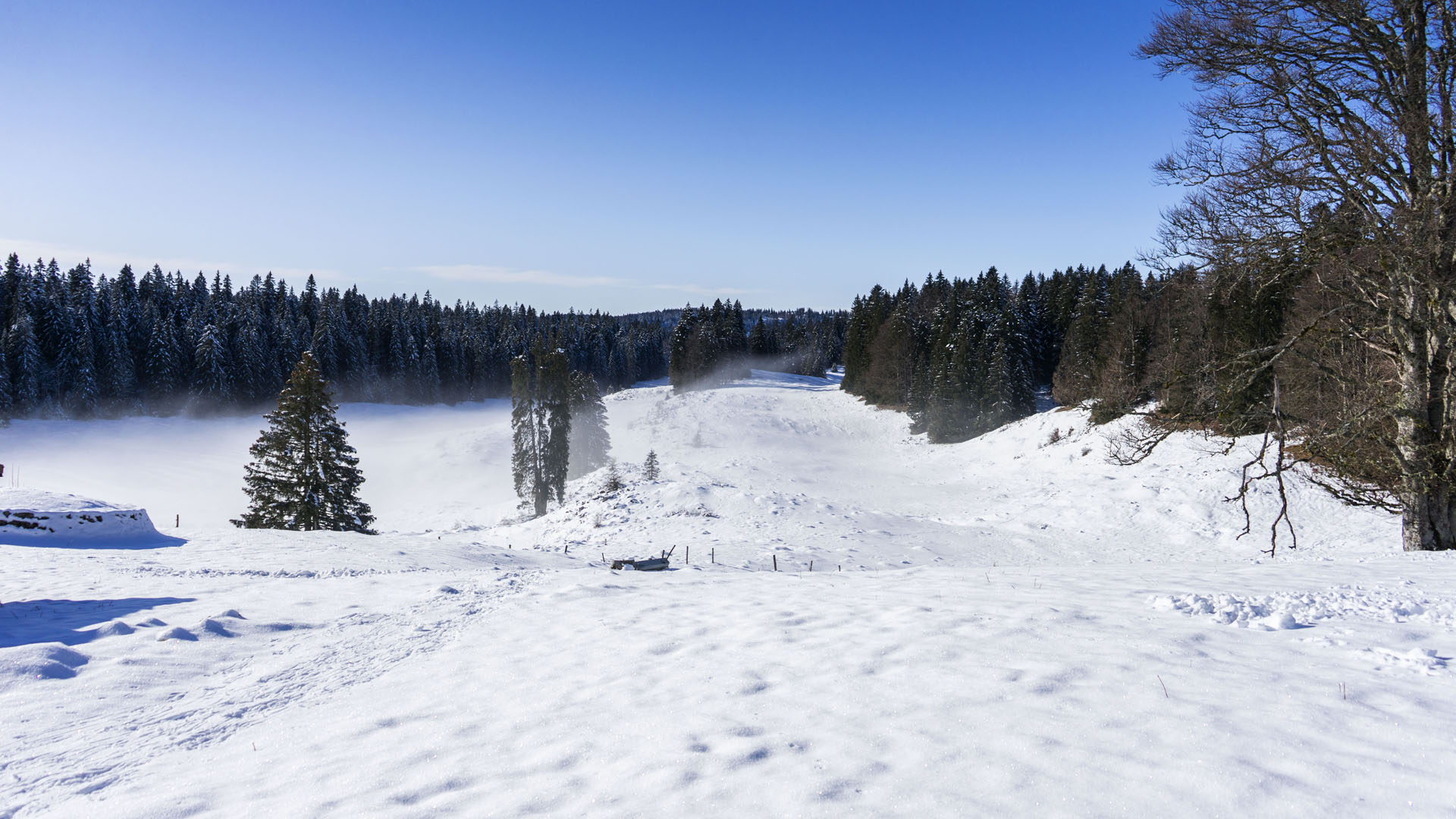 Balades sauvages à raquette au cœur du Haut Jura -6874a979d7e34: /