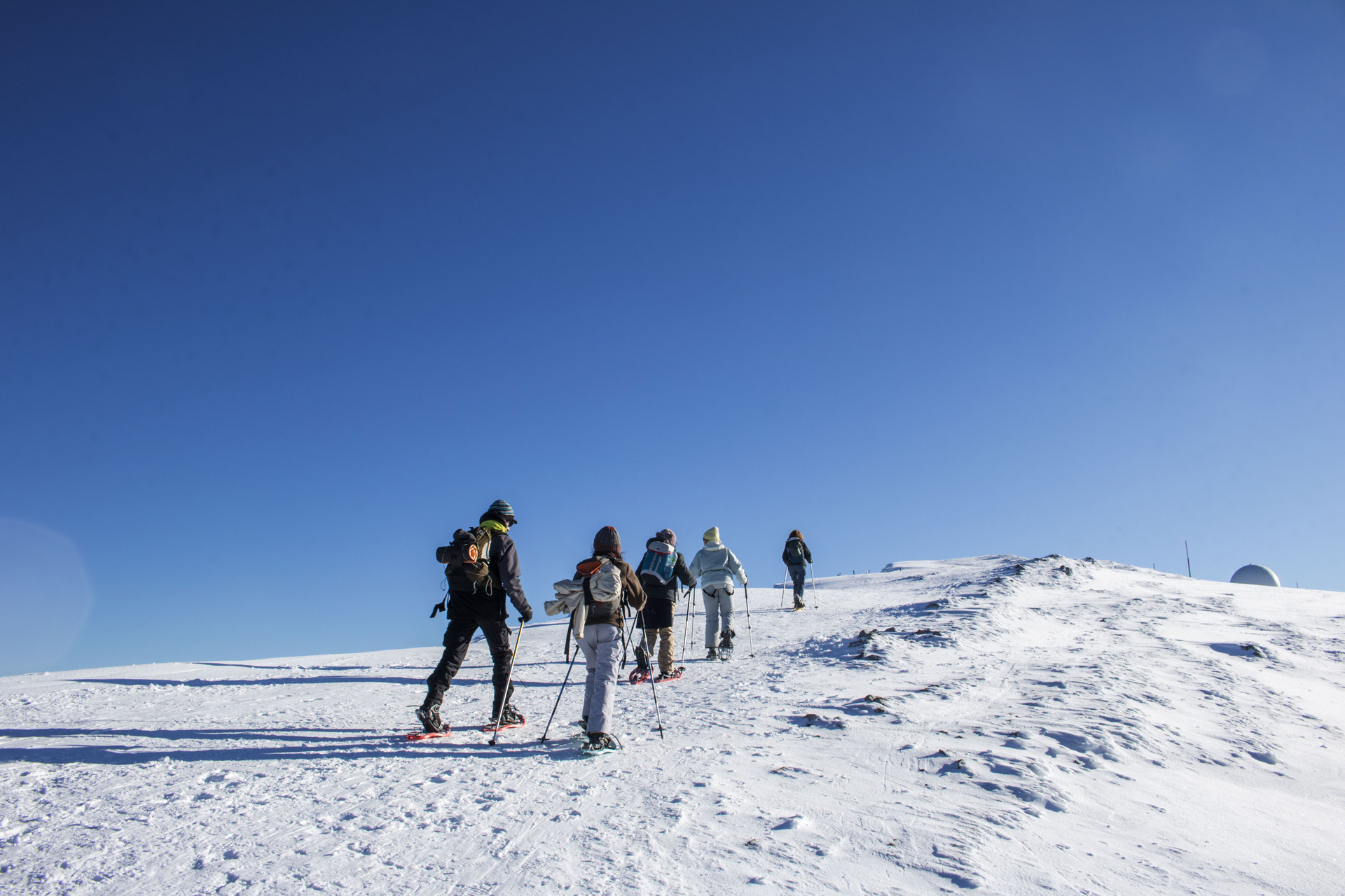 Balades sauvages à raquette au cœur du Haut Jura -6874a979d7e35: /