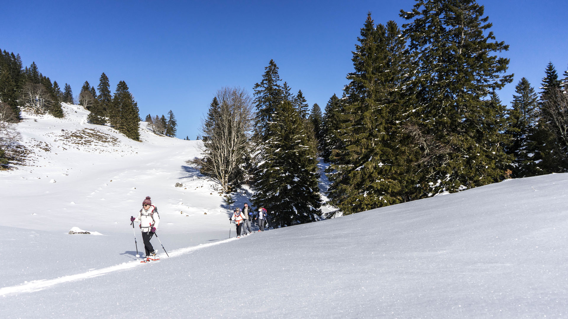 Balades sauvages à raquette au cœur du Haut Jura -6874a979d7e38: /