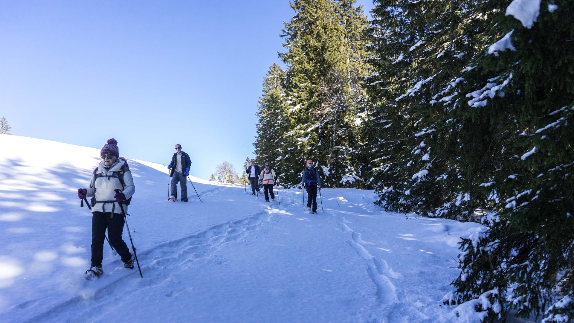 Balades sauvages à raquette au cœur du Haut Jura -6874a979d7e39: /
