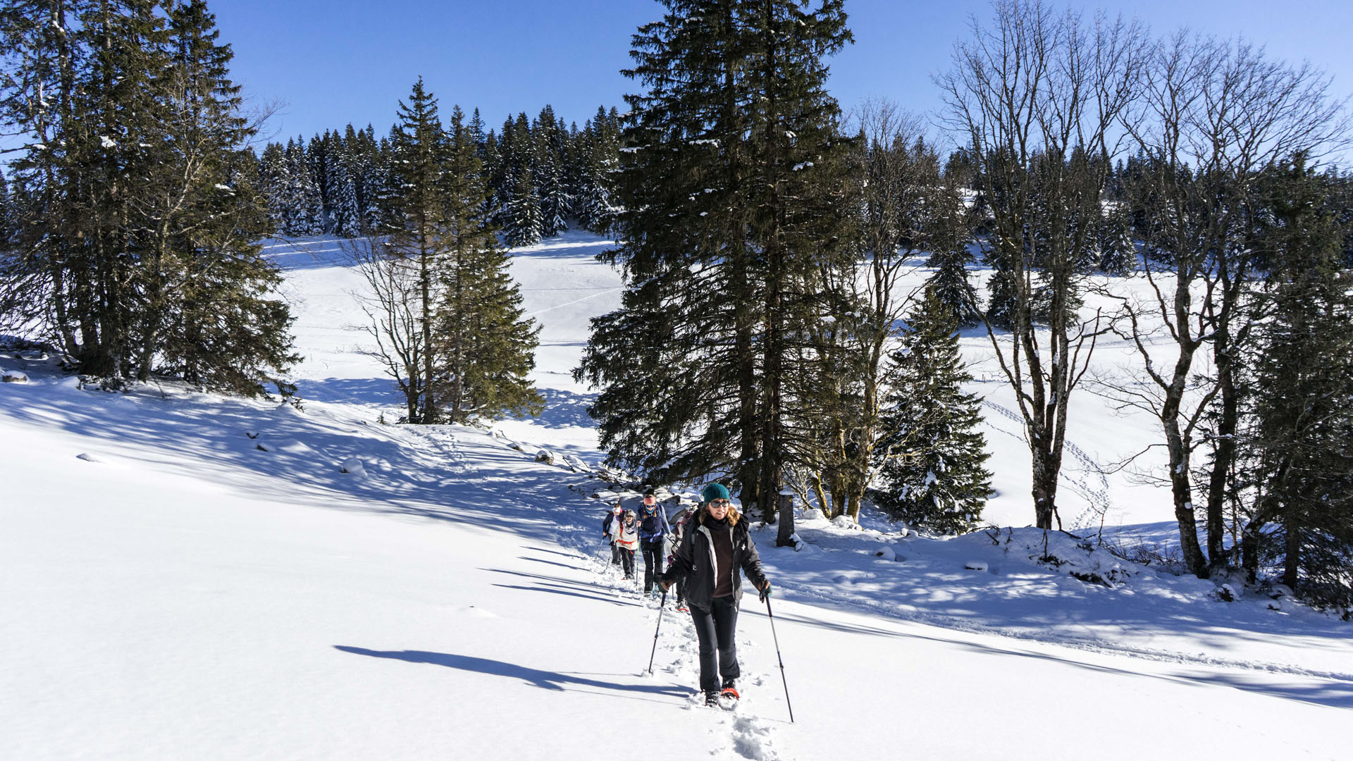 Balades sauvages à raquette au cœur du Haut Jura -6874a979d7e3e: /