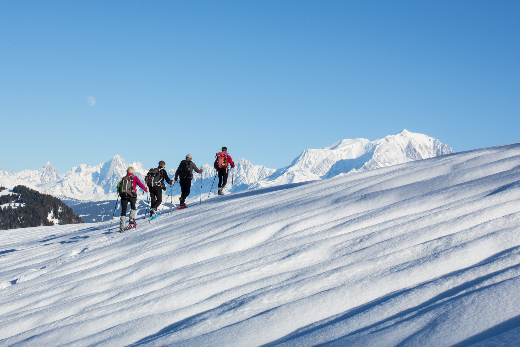 TRAPPEUR FACE AU MONT BLANC Alpes Aravis Mont Blanc - France
