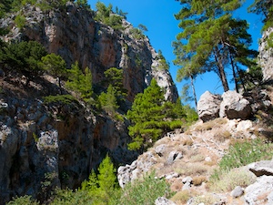Gorges Agia Irini pendant le Road trip en Cr�te