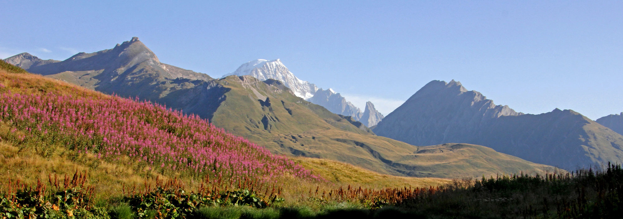 Trek - Multi Activités en famille au Pays du Mont Blanc