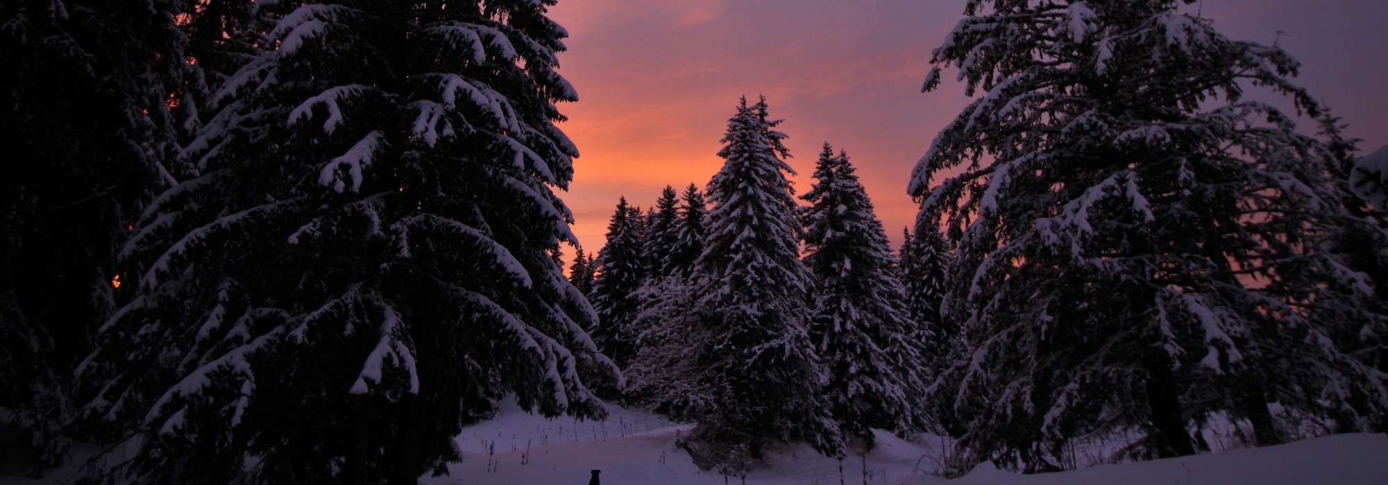 Séjour Réveillon dans le Haut Jura