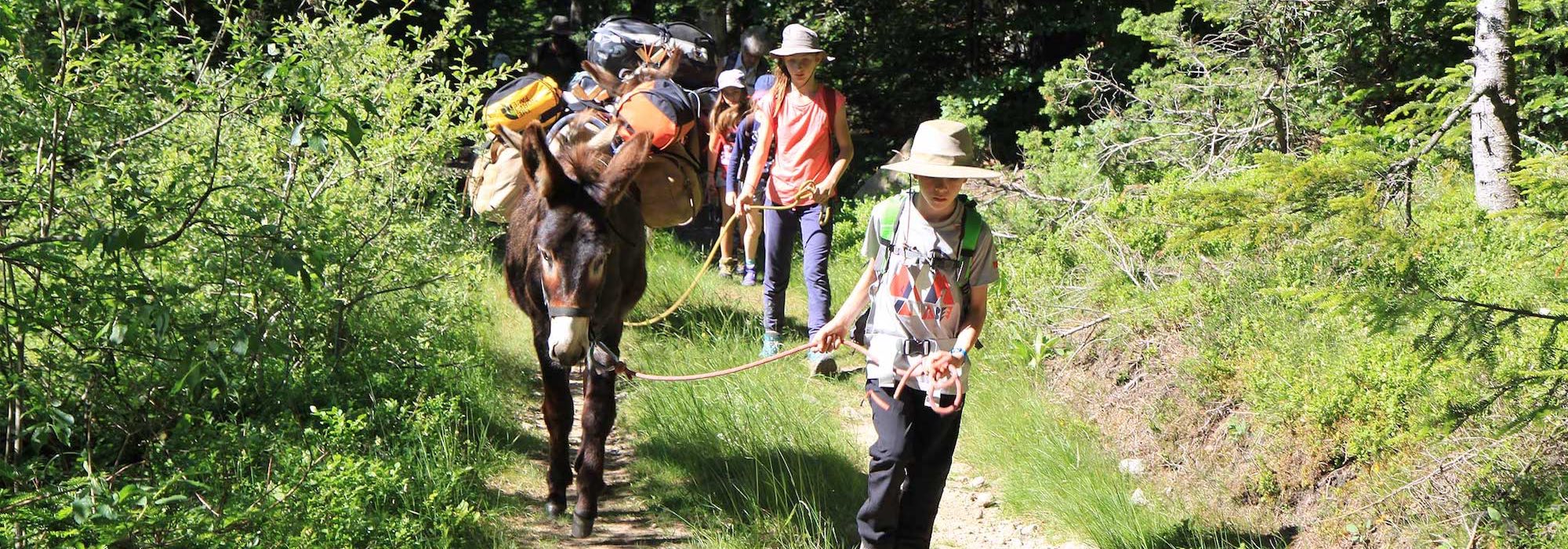 Voyage avec ânes - France : Tour des Volcans des Monts d’Ardèche avec un Âne