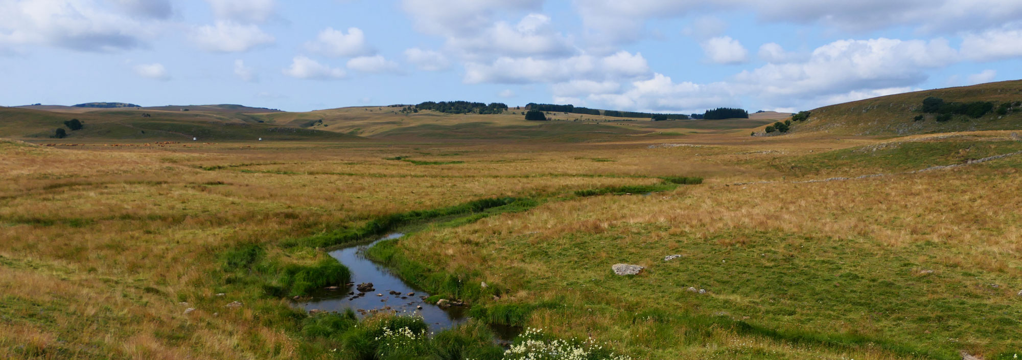 Trek - Séjour découverte et bien être en Aubrac