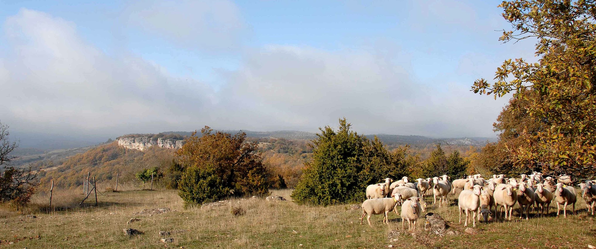 Trek - Le Tour du Larzac rando sur la terre des Templiers