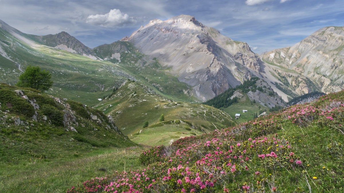 Voyage en Haute Montagne - Le tour du Queyras avec ses 3000 et ses grands lacs