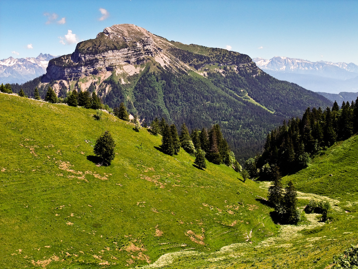 Trek - SOMMETS ET SENTIERS AERIENS DE CHARTREUSE en liberté